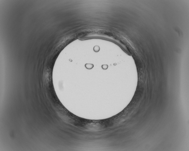 X0000111190119200908121056