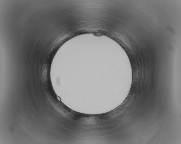 X0000111190120200908121056
