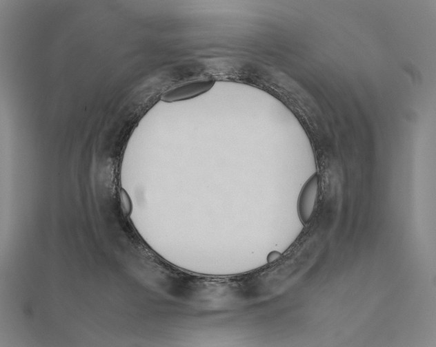 X0000111190121200908121056