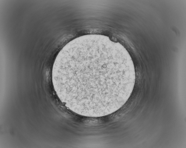 X0000111190123200908121056