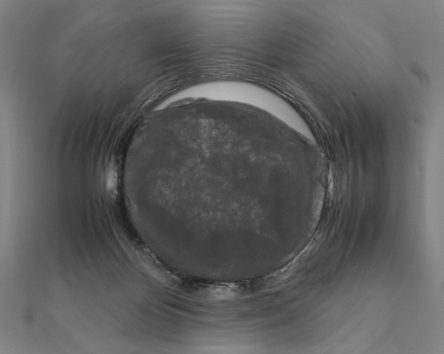 X0000111190124200908121056