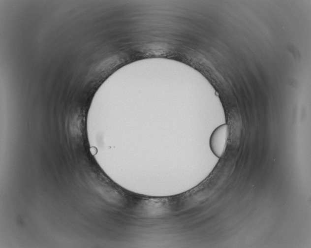 X0000111190126200908121056