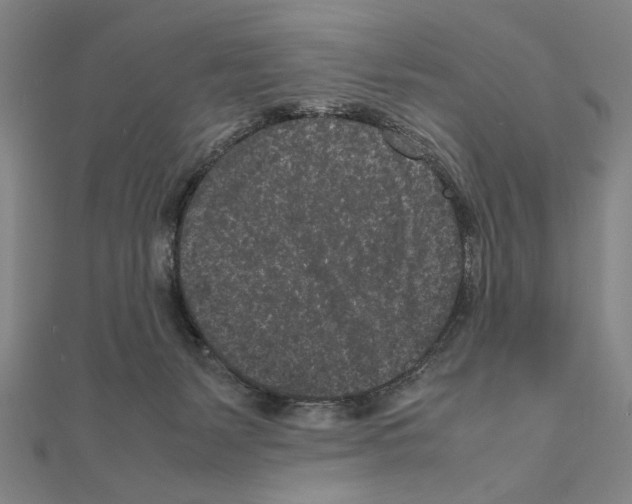 X0000111190127200908121056