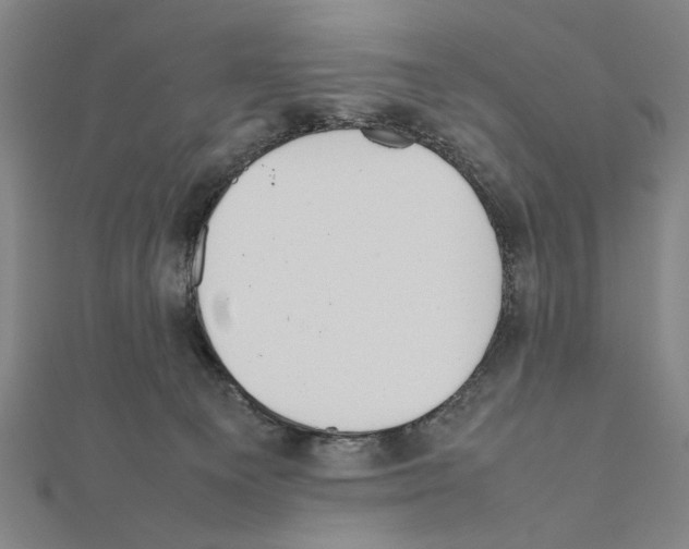 X0000111190129200908121056