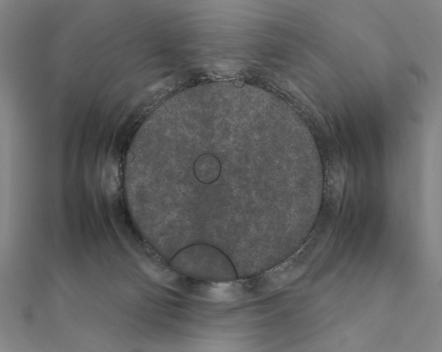 X0000111190130200908121056