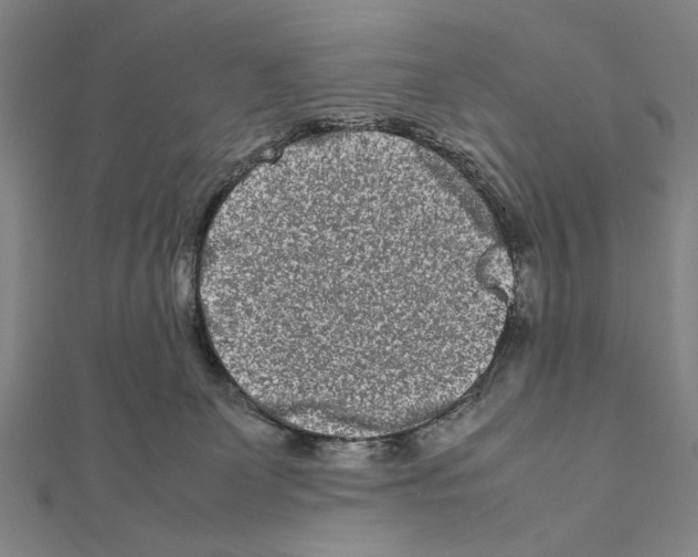 X0000111190131200908121056