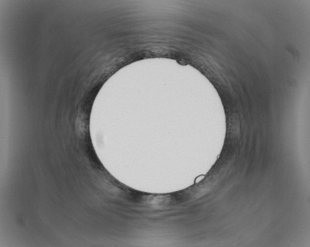 X0000111190135200908121056