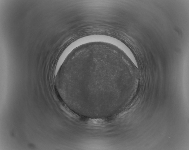 X0000111190137200908121056