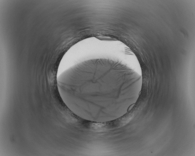 X0000111190139200908121056