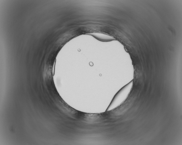 X0000111190141200908121056