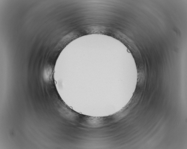X0000111190142200908121056