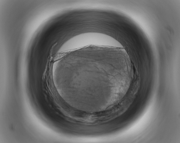 X0000111190143200908121056