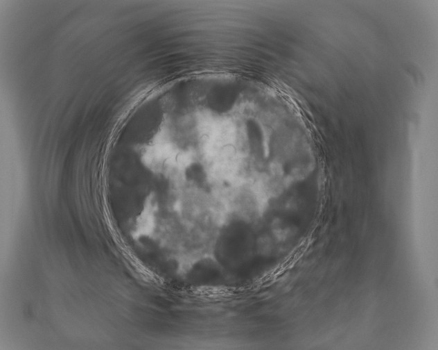 X0000111190145200908121055