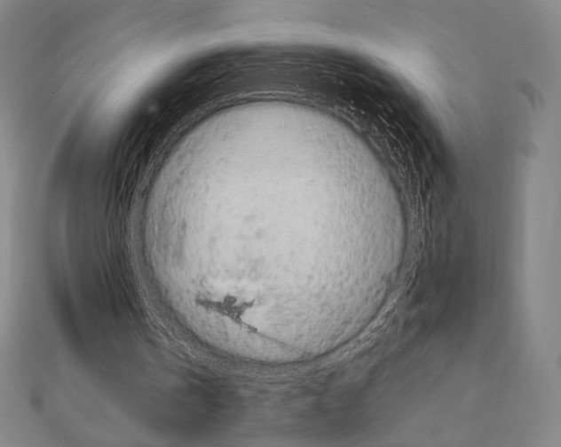 X0000111190146200908121055