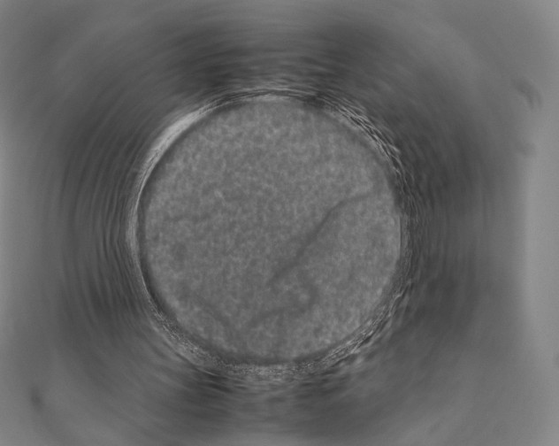 X0000111190147200908121055