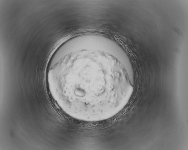 X0000111190148200908121055