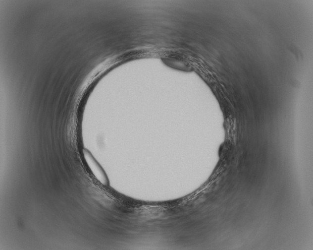 X0000111190150200908121055