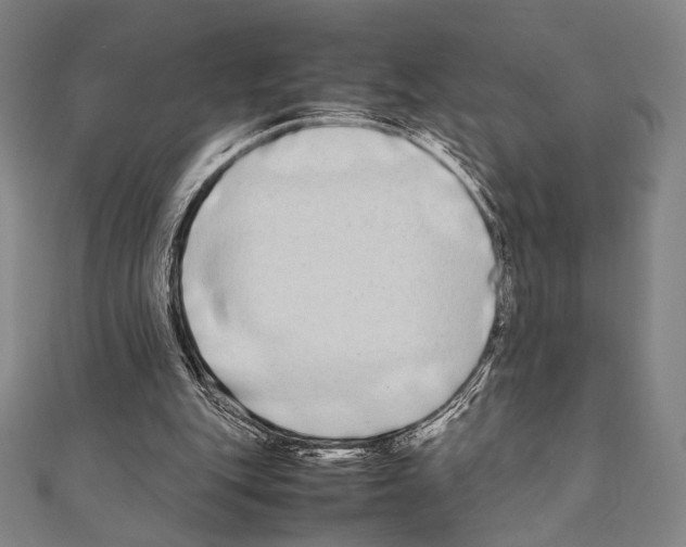 X0000111190151200908121055