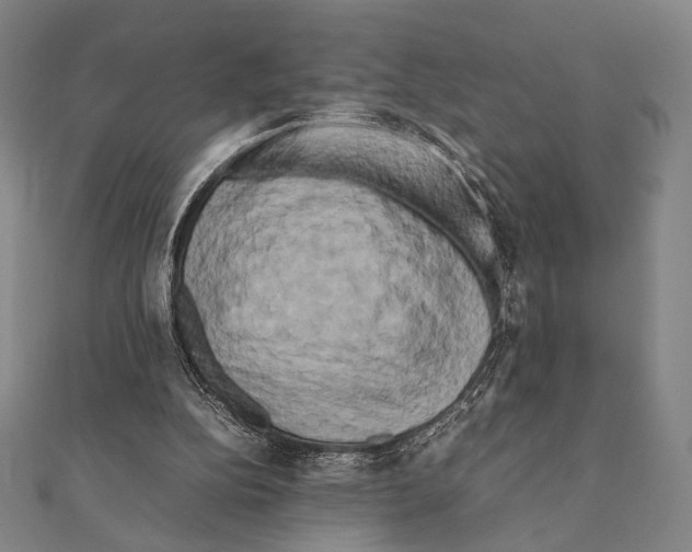 X0000111190152200908121055