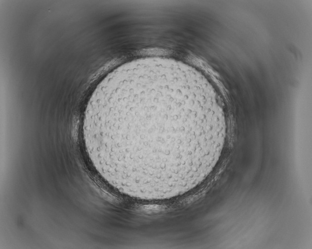 X0000111190153200908121055