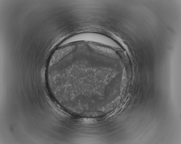 X0000111190154200908121055