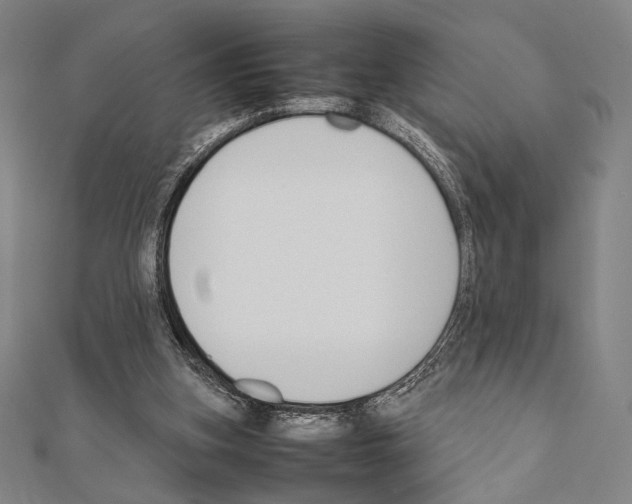 X0000111190155200908121055