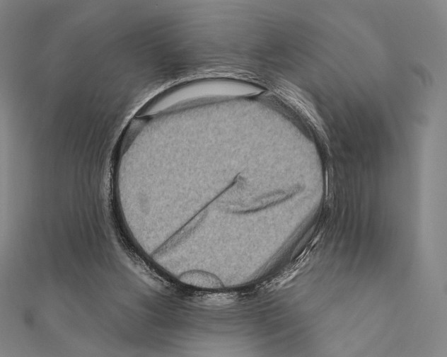 X0000111190156200908121055
