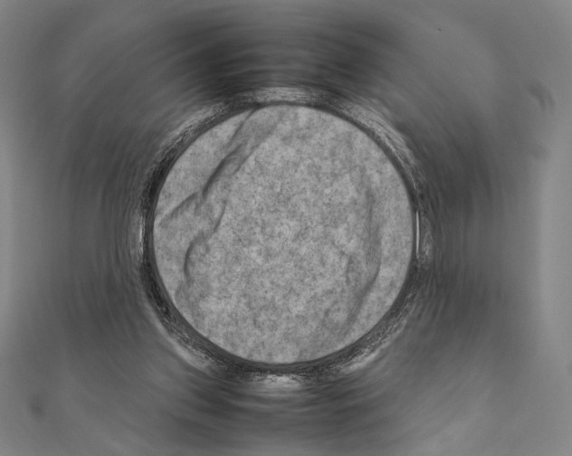 X0000111190157200908121055