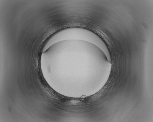 X0000111190158200908121055