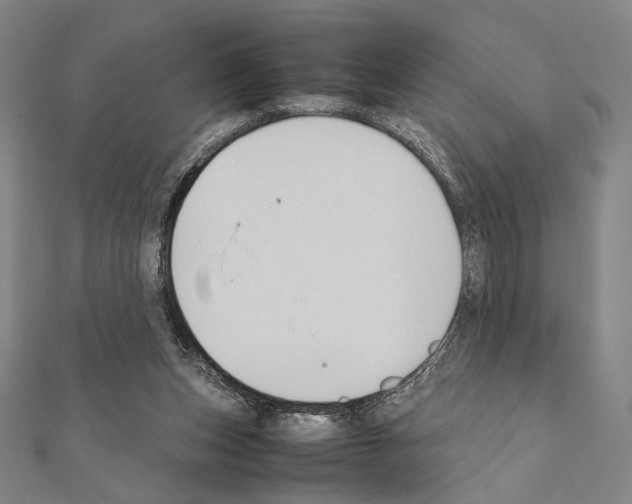 X0000111190159200908121055