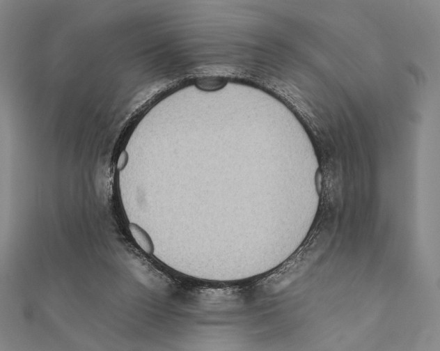 X0000111190160200908121055