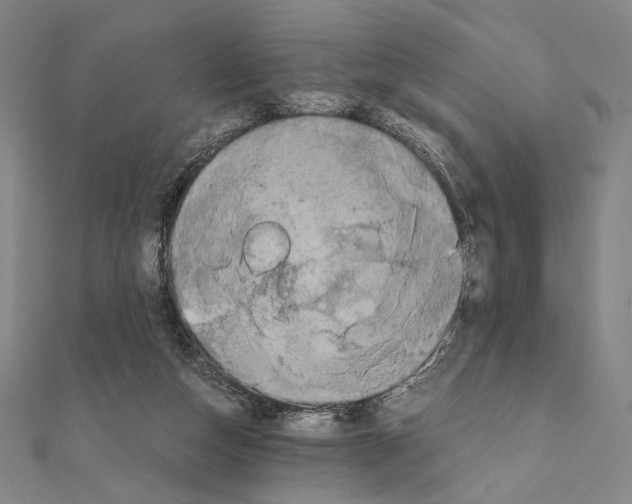 X0000111190162200908121055
