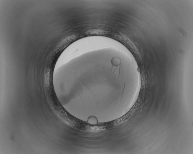 X0000111190163200908121055