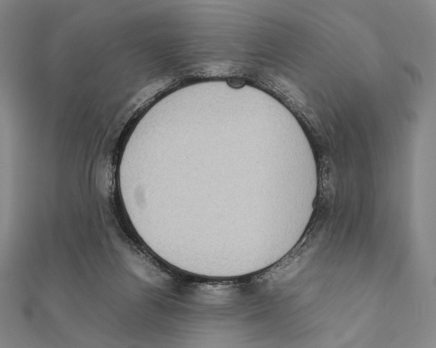 X0000111190164200908121055