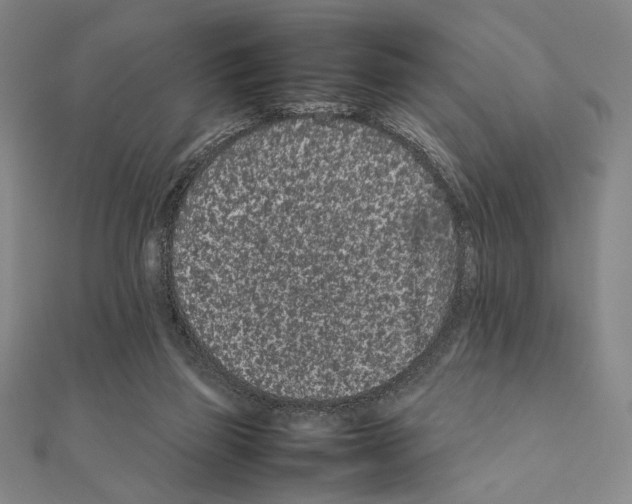 X0000111190165200908121055