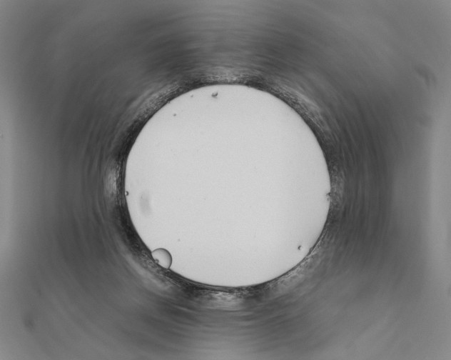 X0000111190166200908121055
