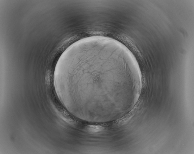 X0000111190167200908121055