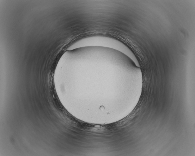 X0000111190168200908121055