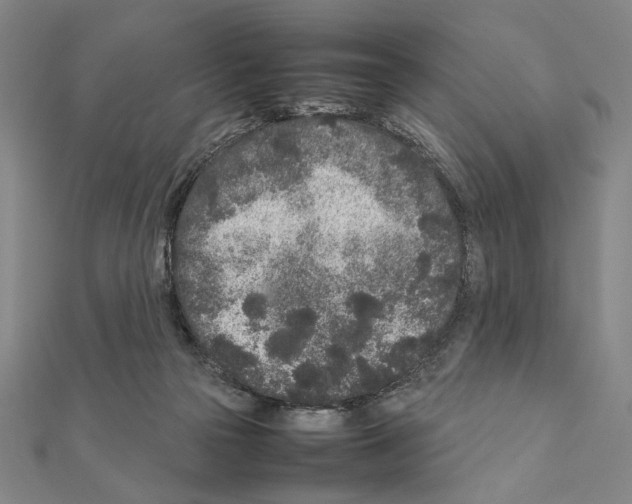 X0000111190169200908121055