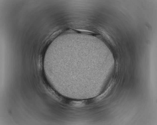 X0000111190170200908121055