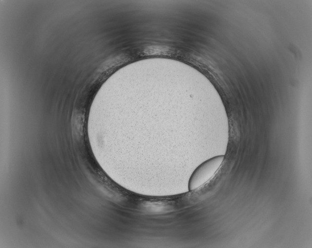 X0000111190171200908121055