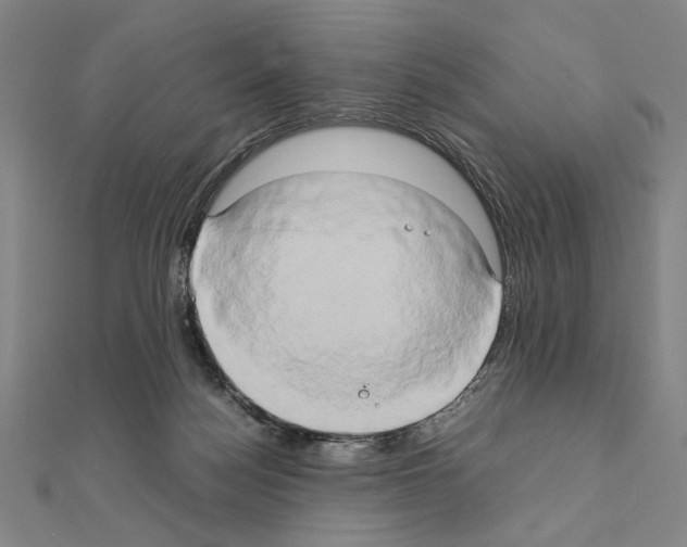 X0000111190172200908121055