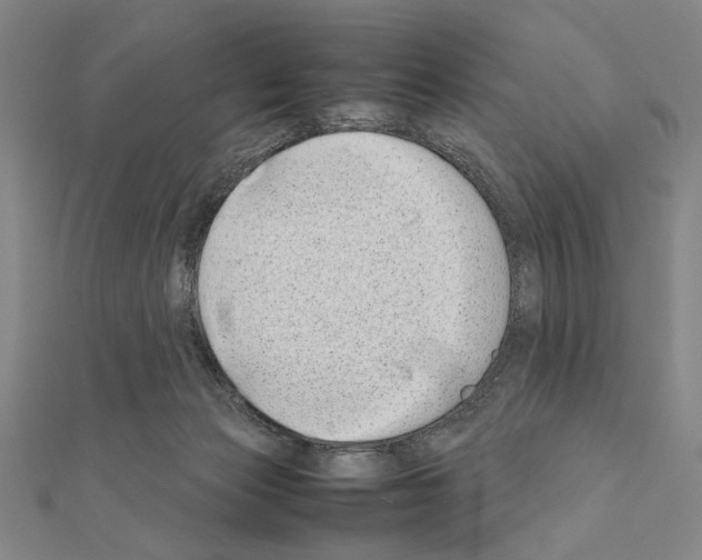 X0000111190173200908121055