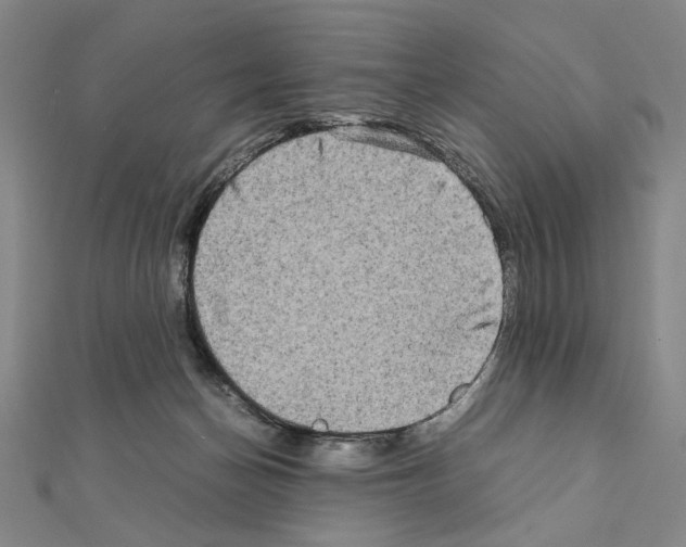 X0000111190174200908121055