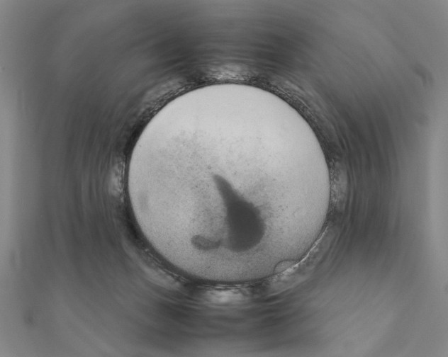 X0000111190175200908121055