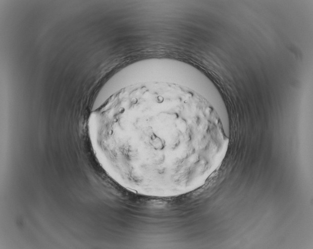X0000111190176200908121055