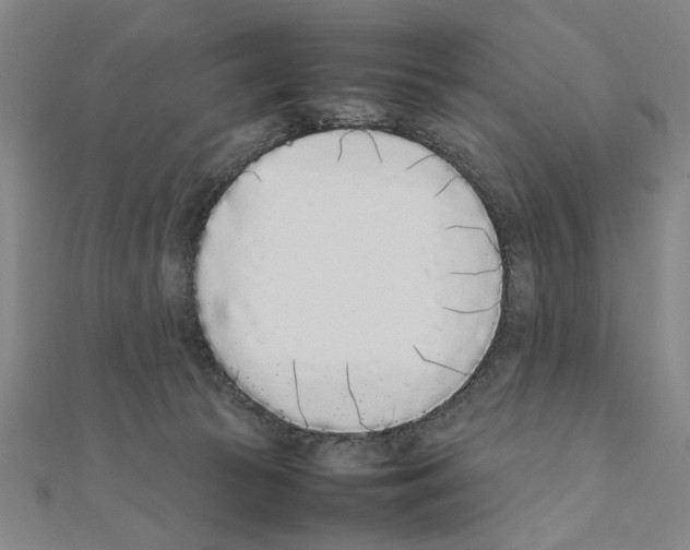 X0000111190177200908121055