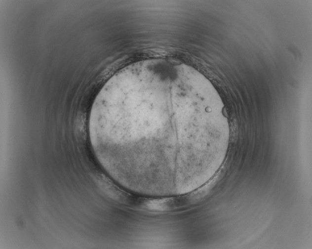 X0000111190178200908121055