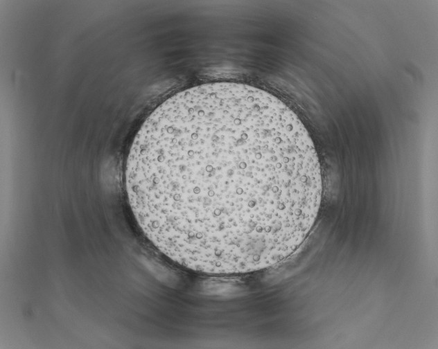 X0000111190179200908121055