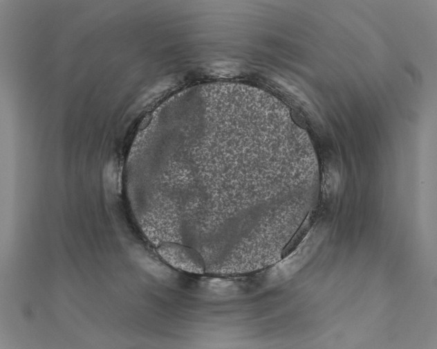 X0000111190180200908121055